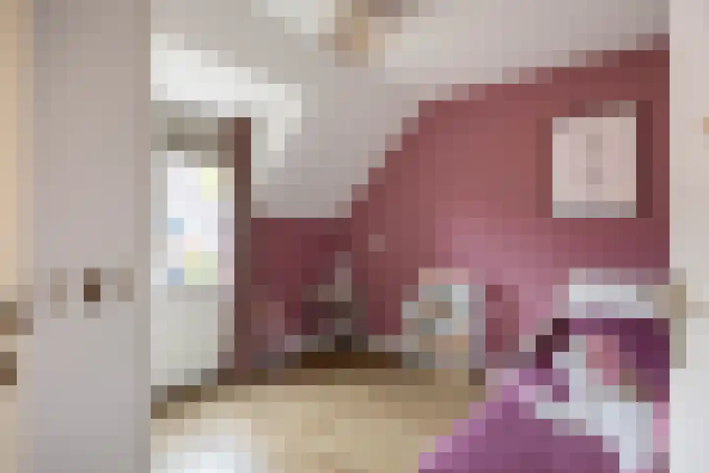 Sibrandaheerd 60 Groningen thumbnail 29