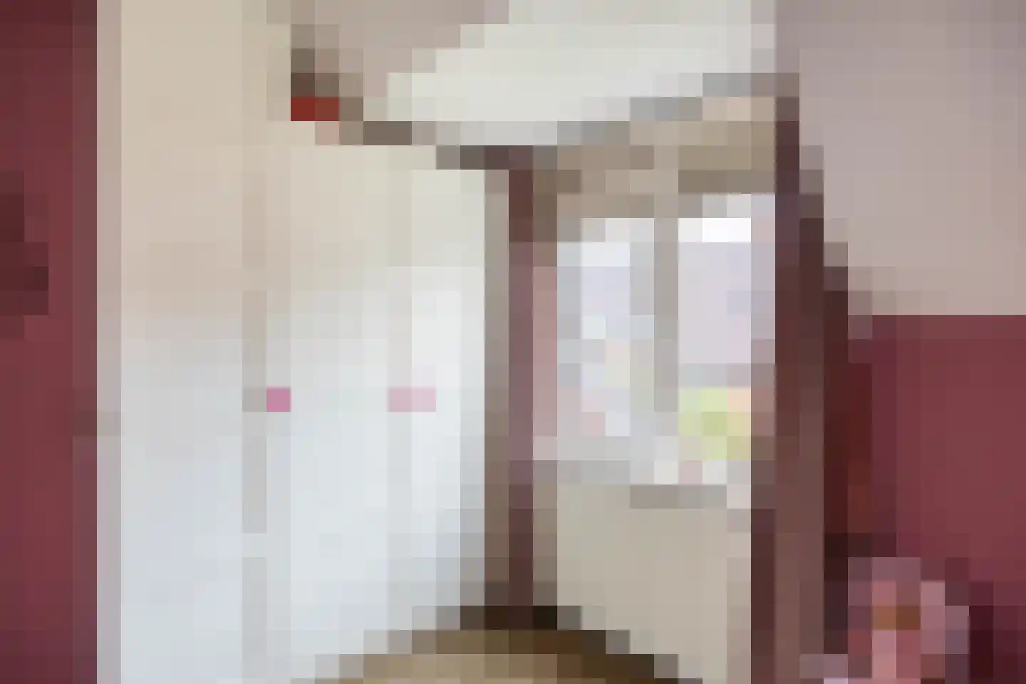 Sibrandaheerd 60 Groningen thumbnail 30