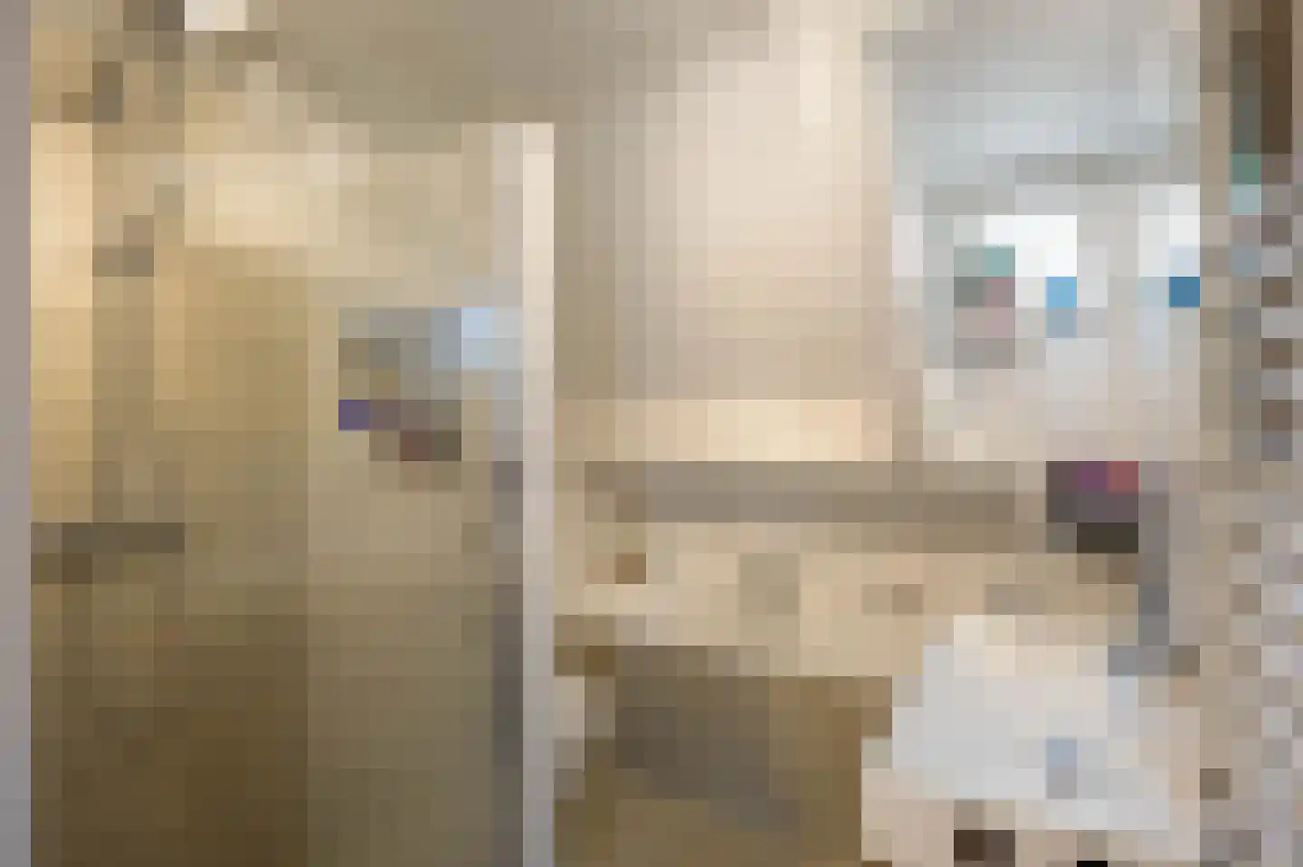 Sibrandaheerd 60 Groningen thumbnail 31