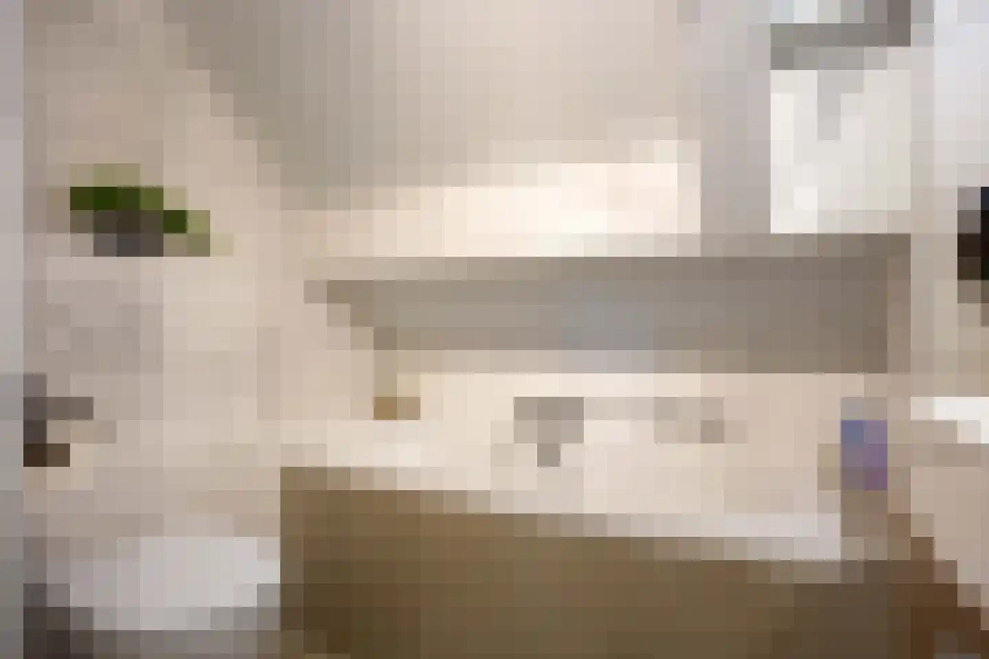 Sibrandaheerd 60 Groningen thumbnail 32