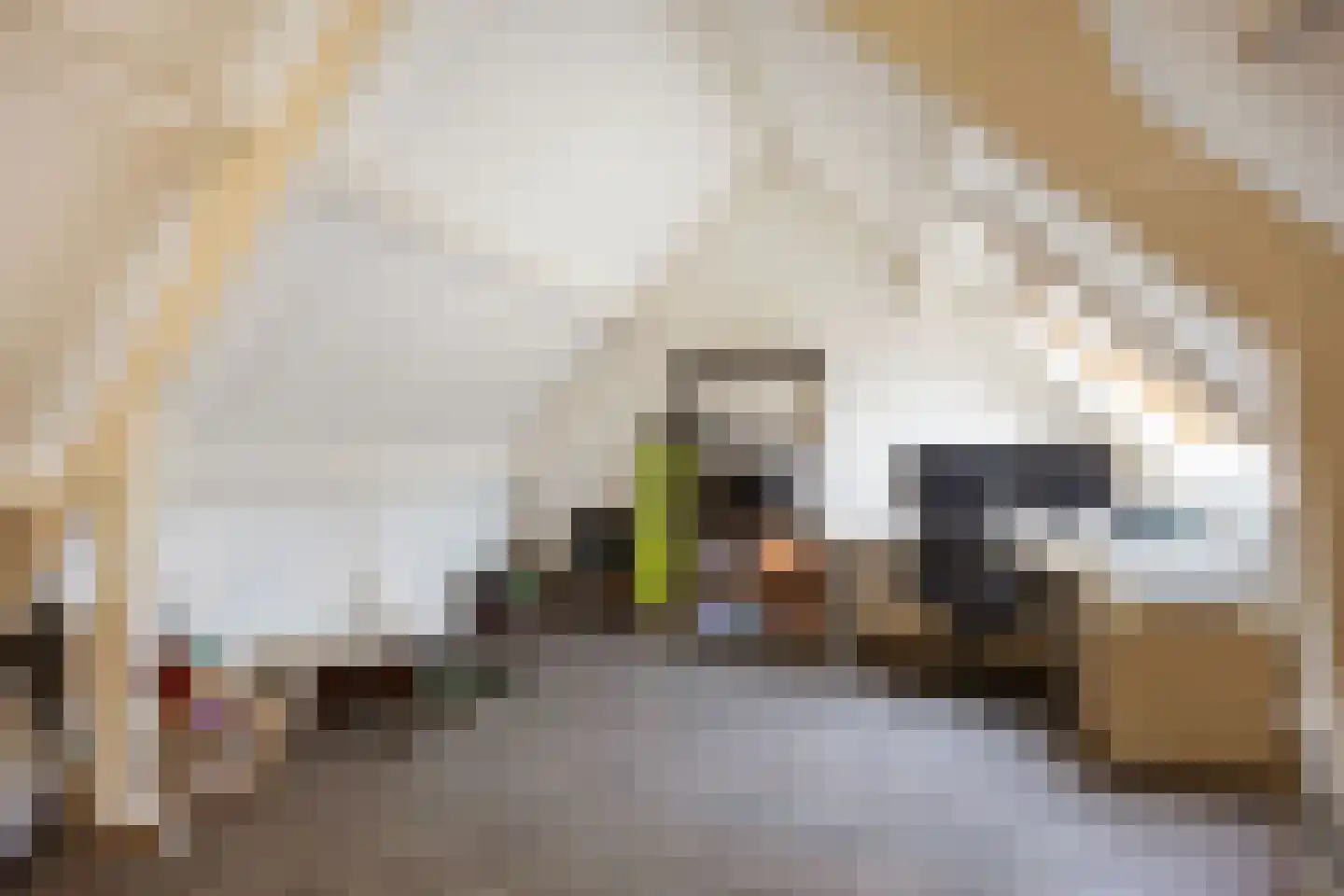 Sibrandaheerd 60 Groningen thumbnail 36
