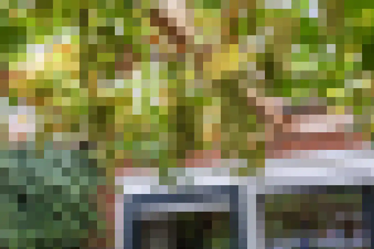 Sibrandaheerd 60 Groningen thumbnail 40