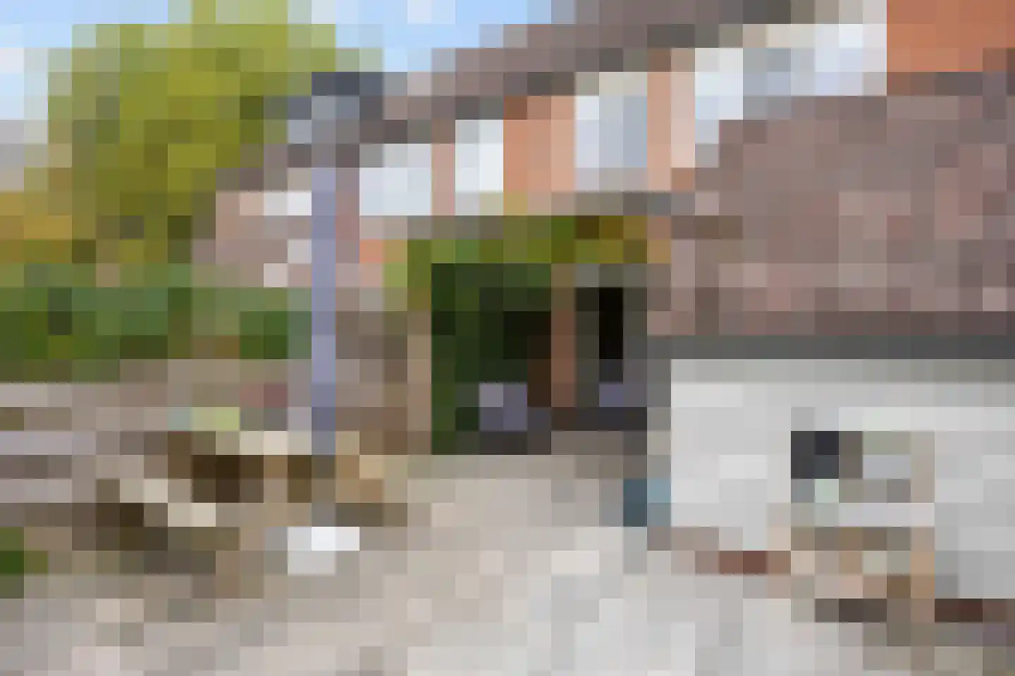 Sibrandaheerd 60 Groningen thumbnail 41