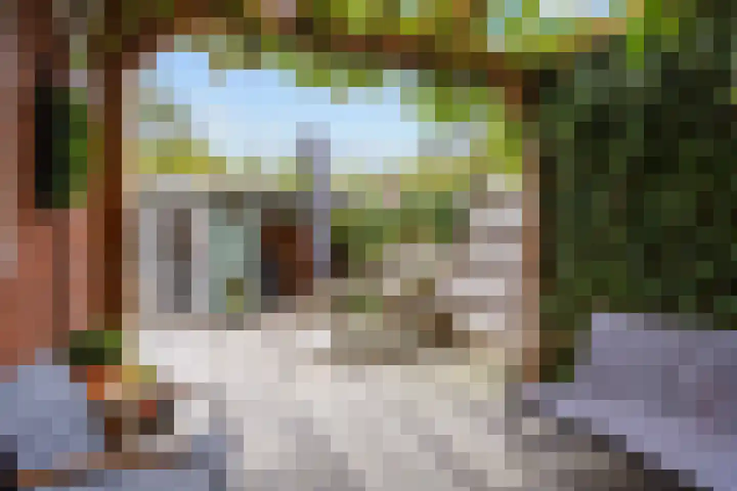 Sibrandaheerd 60 Groningen thumbnail 42