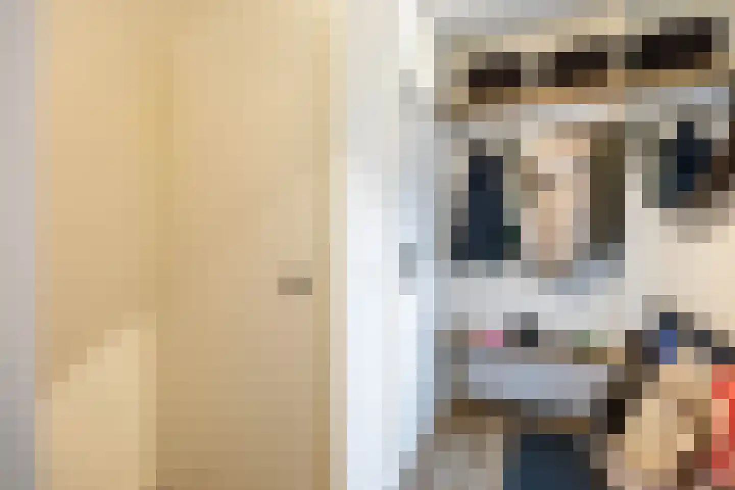 Sibrandaheerd 60 Groningen thumbnail 9