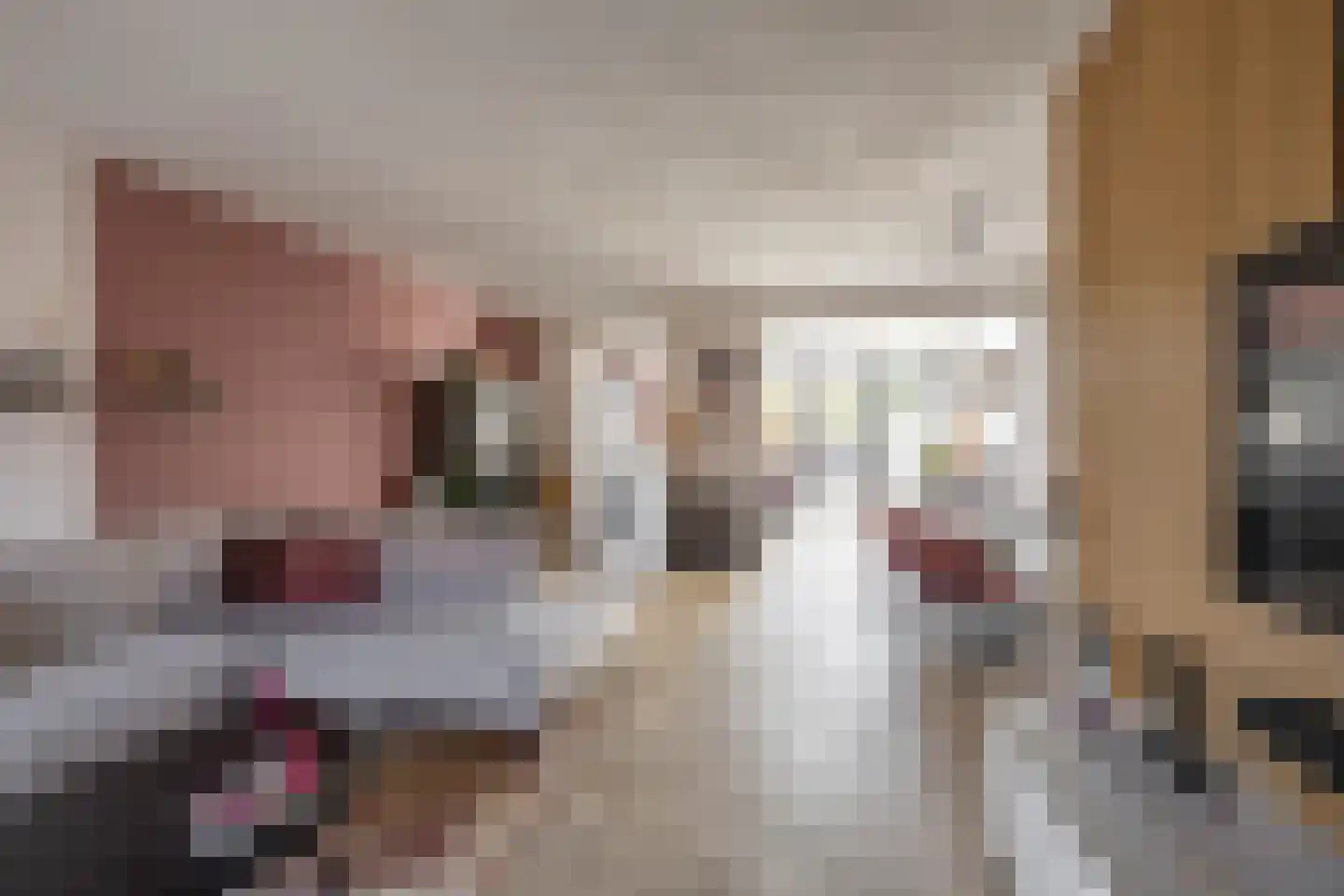 Sibrandaheerd 74 Groningen thumbnail 10