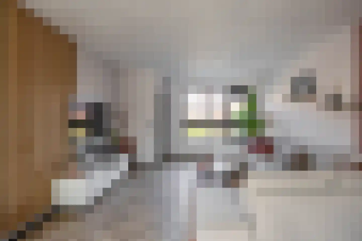Sibrandaheerd 74 Groningen thumbnail 13