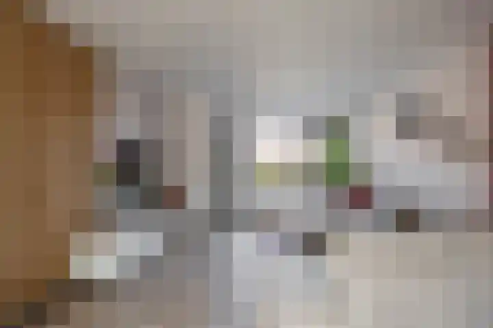 Sibrandaheerd 74 Groningen thumbnail 13