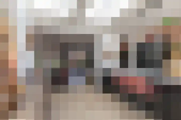 Sibrandaheerd 74 Groningen thumbnail 26