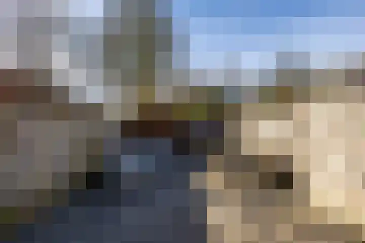 Sibrandaheerd 74 Groningen thumbnail 29