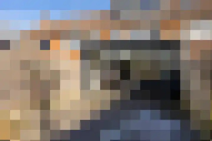 Sibrandaheerd 74 Groningen thumbnail 31