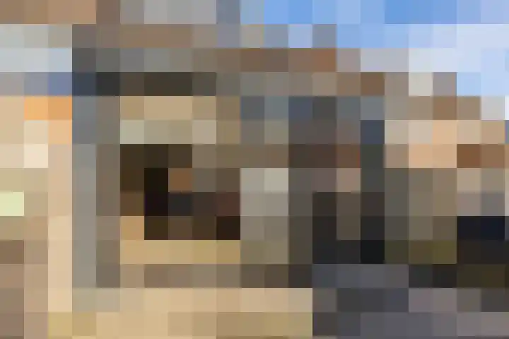 Sibrandaheerd 74 Groningen thumbnail 32
