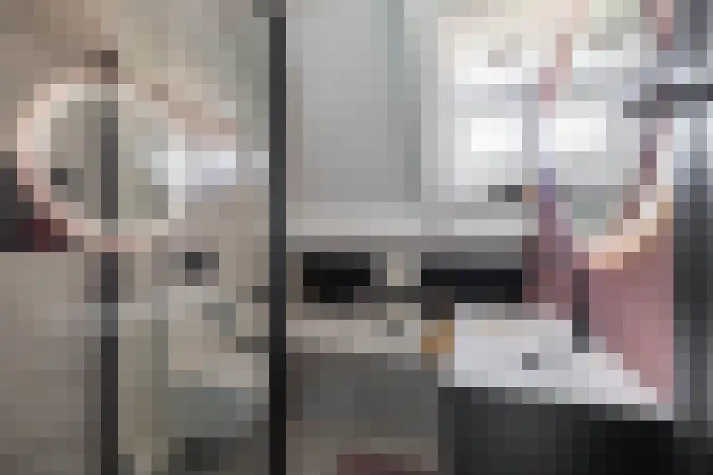 Sibrandaheerd 74 Groningen thumbnail 44