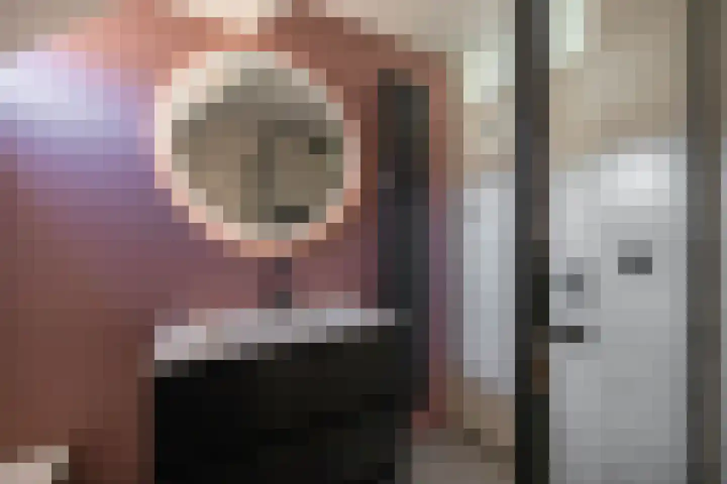 Sibrandaheerd 74 Groningen thumbnail 46