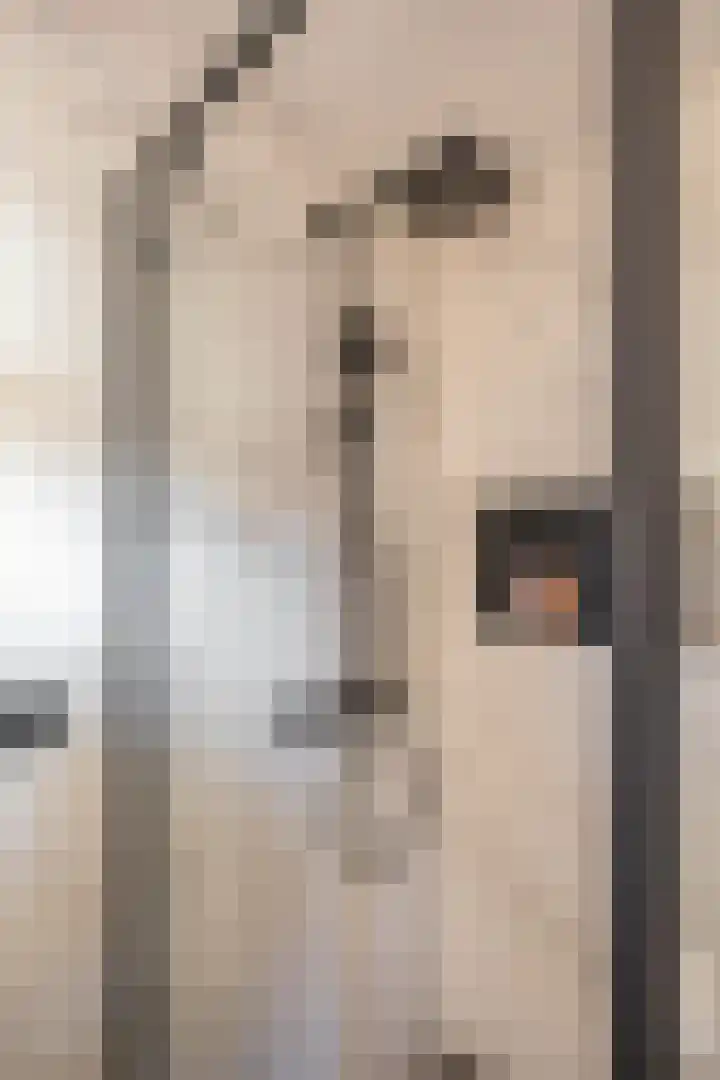 Sibrandaheerd 74 Groningen thumbnail 47