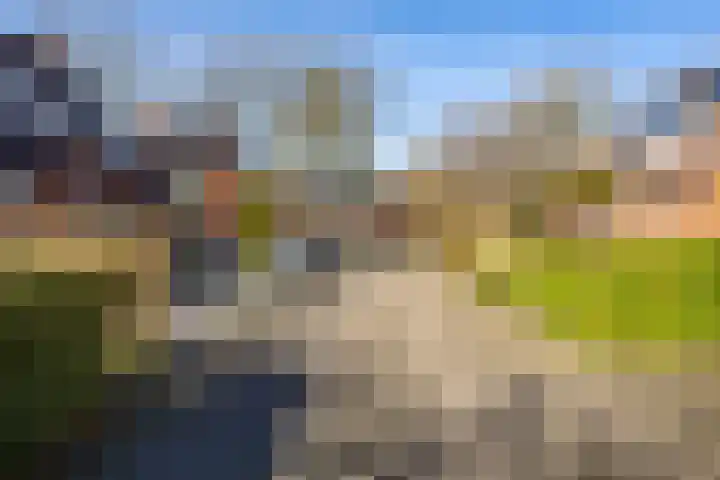 Sibrandaheerd 74 Groningen thumbnail 54