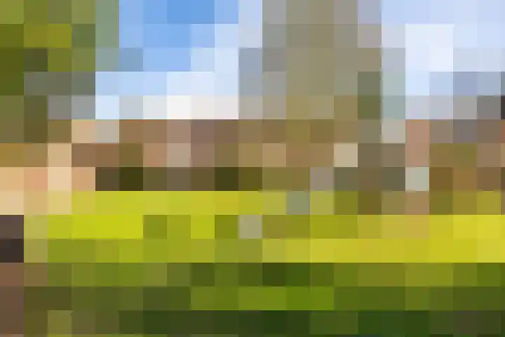 Sibrandaheerd 74 Groningen thumbnail 55