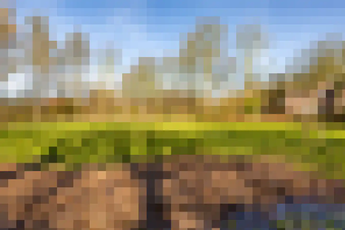 Sibrandaheerd 74 Groningen thumbnail 56