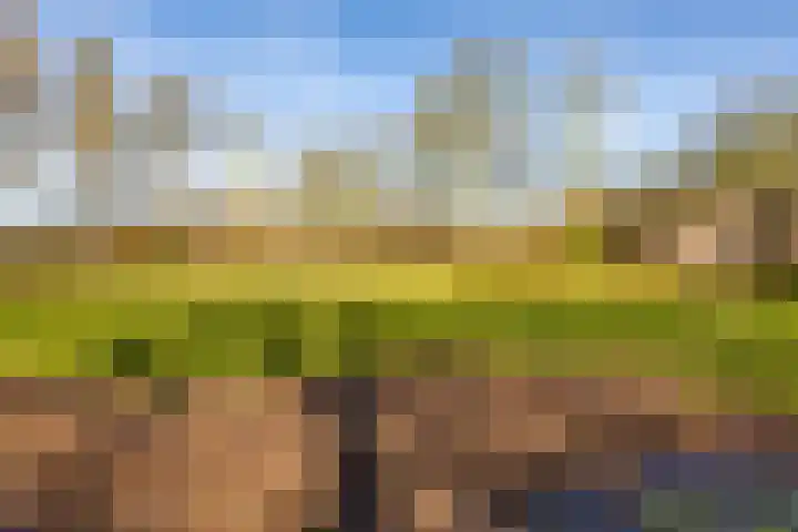 Sibrandaheerd 74 Groningen thumbnail 56