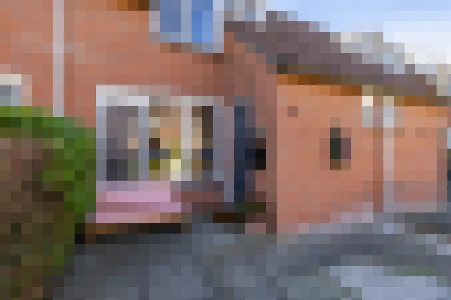 Sibrandaheerd 74 Groningen thumbnail 8