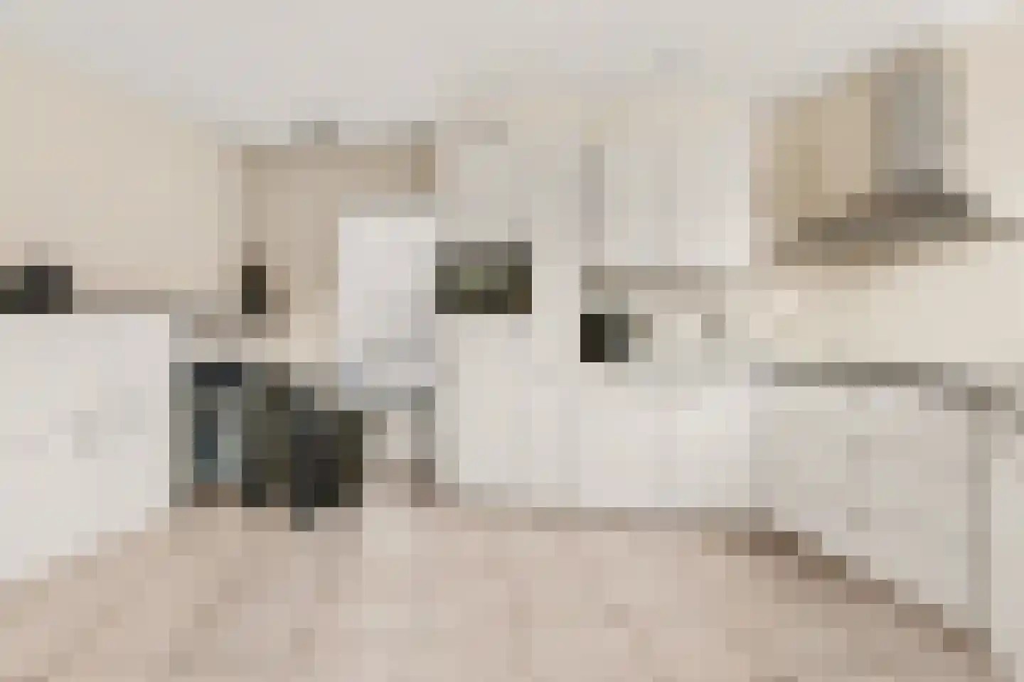Sicco Mansholtstraat 12 Herten thumbnail 8