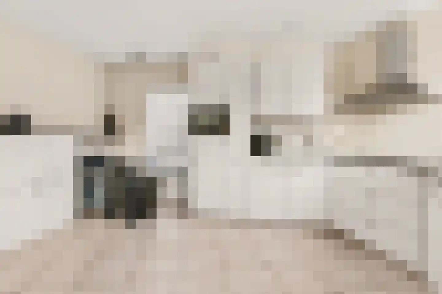 Sicco Mansholtstraat 12 Herten thumbnail 14