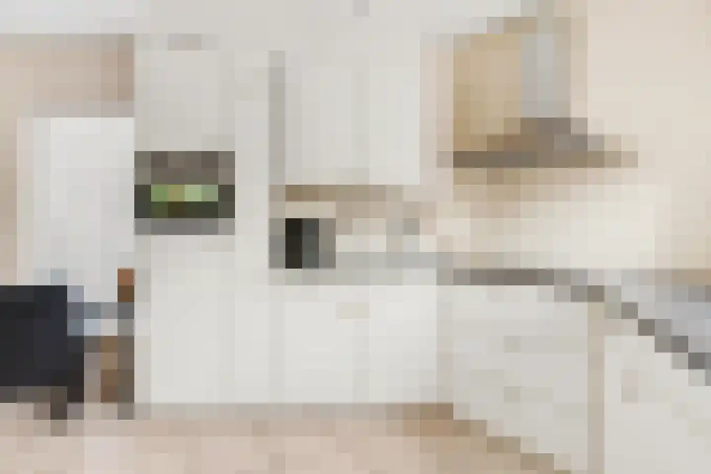 Sicco Mansholtstraat 12 Herten thumbnail 16