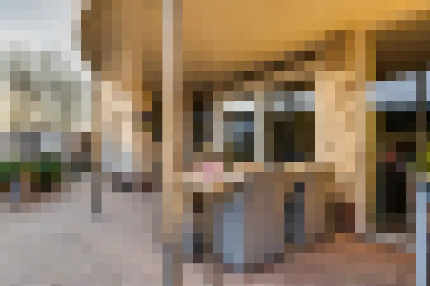 Sicco Mansholtstraat 12 Herten thumbnail 20