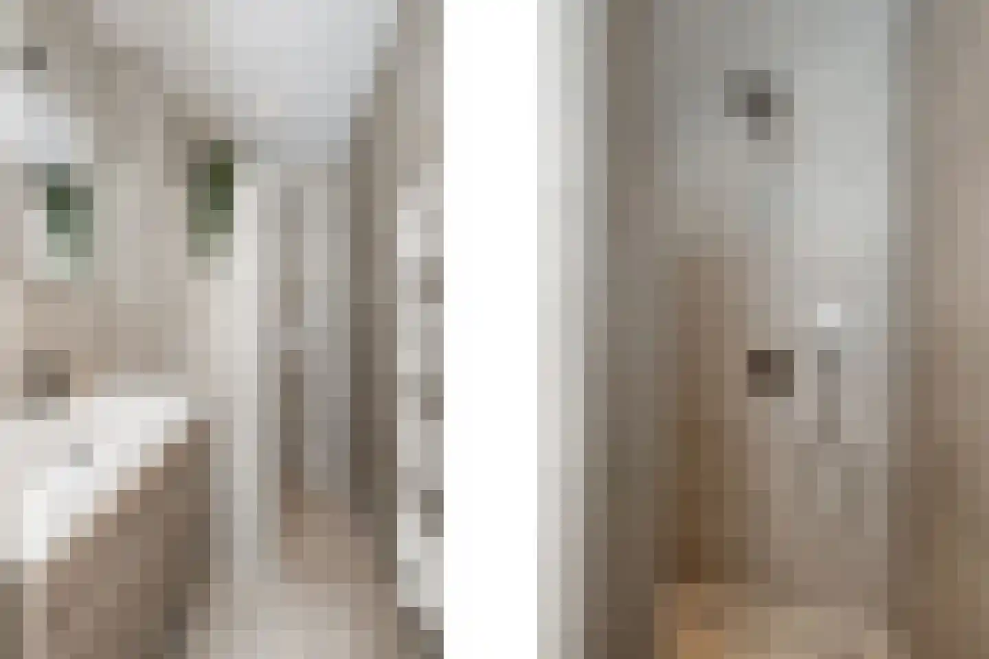 Sichemstraat 10 A Rotterdam thumbnail 16