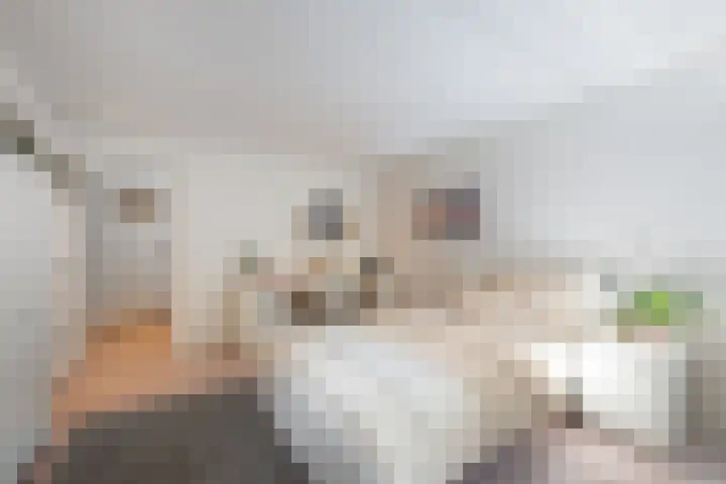 Sichemstraat 10 A Rotterdam thumbnail 18