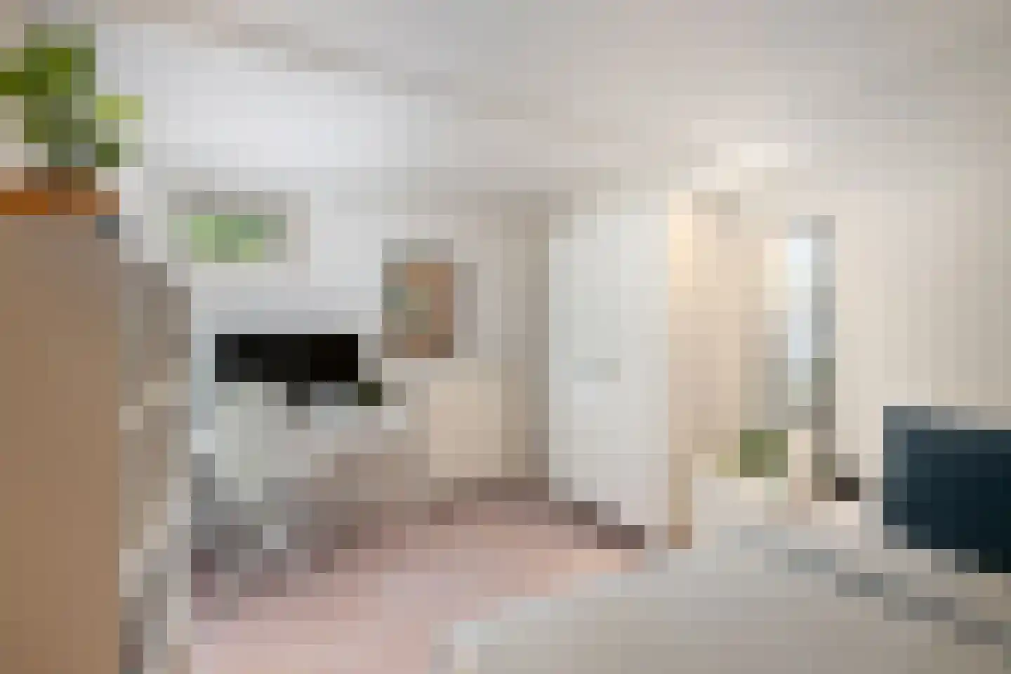 Sichemstraat 10 A Rotterdam thumbnail 21