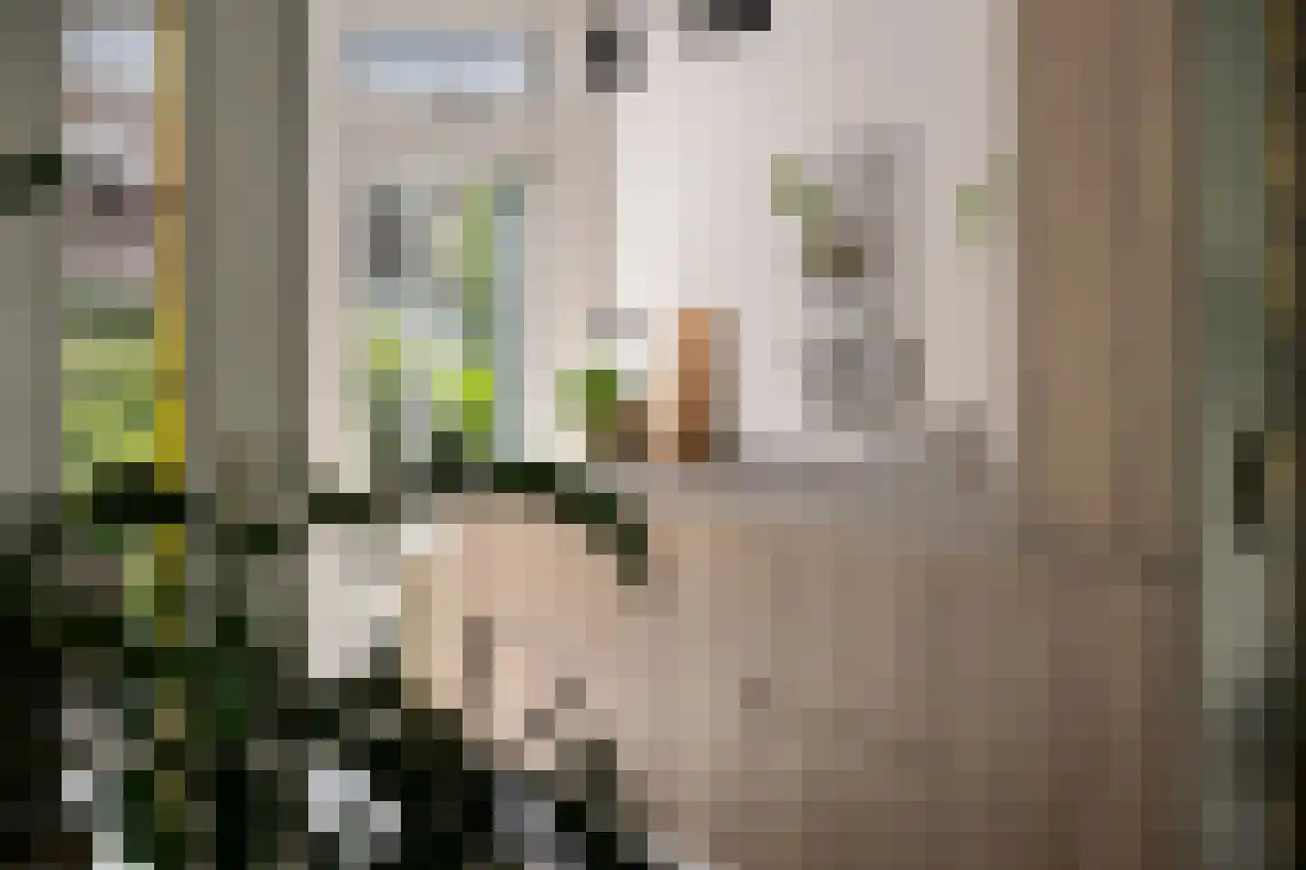 Sichemstraat 10 A Rotterdam thumbnail 8