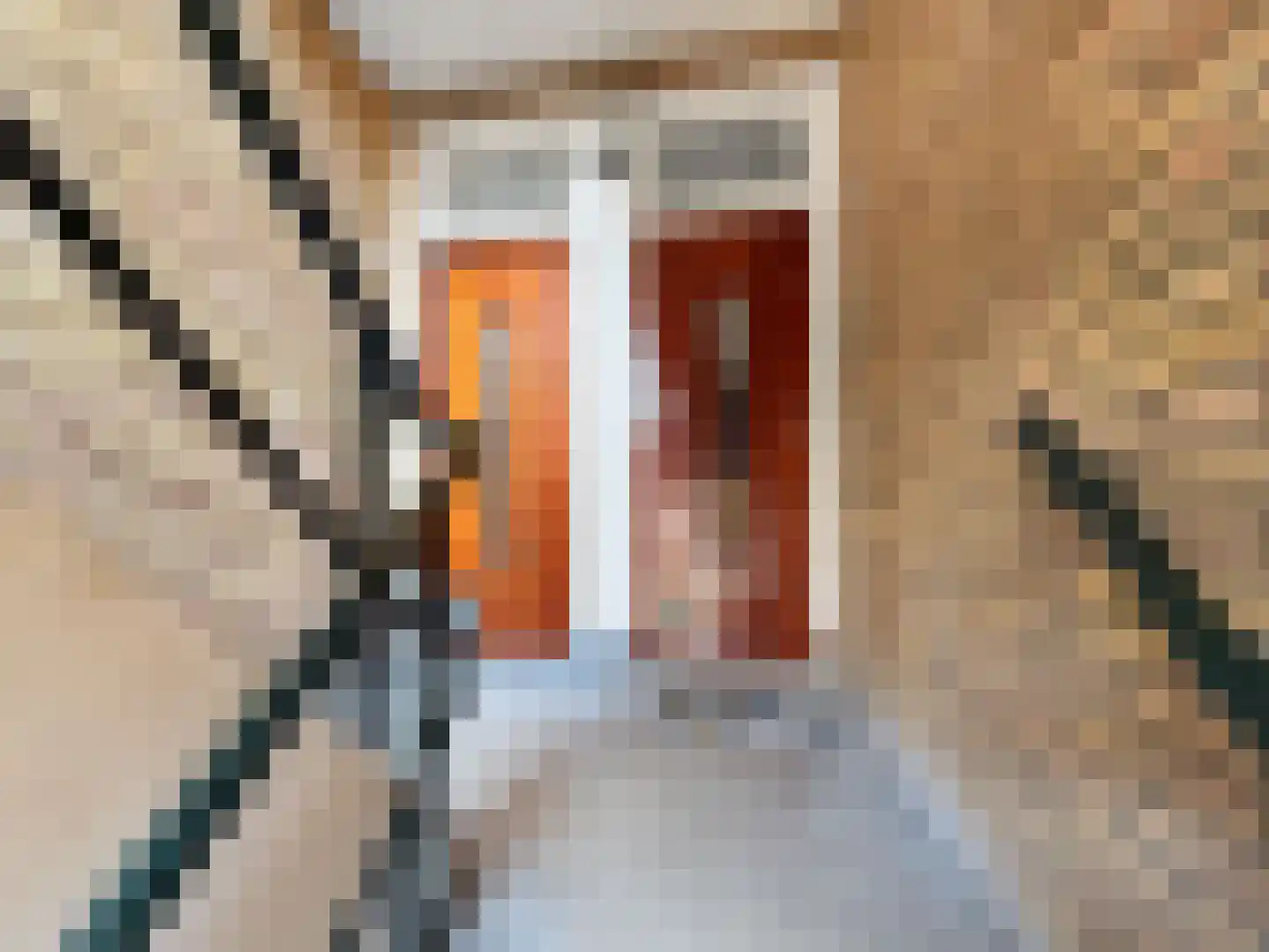 Sichemstraat 13 B Rotterdam thumbnail 6
