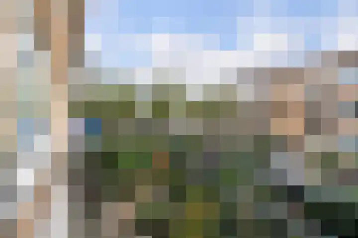 Sichemstraat 3 A Rotterdam thumbnail 23