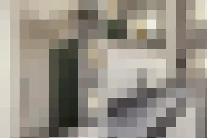 Sichemstraat 3 A Rotterdam thumbnail 25