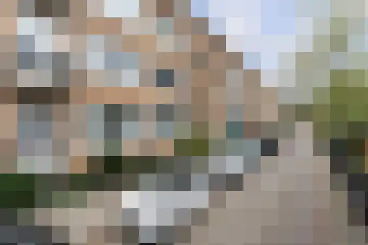 Sichemstraat 3 A Rotterdam thumbnail 27