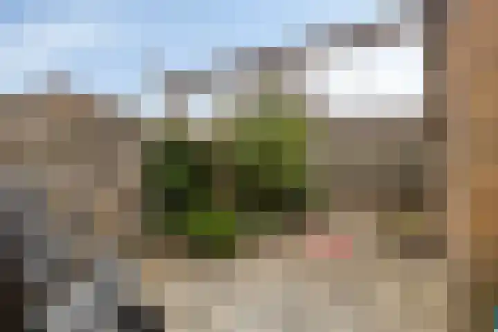 Sichemstraat 4 Wesepe thumbnail 23