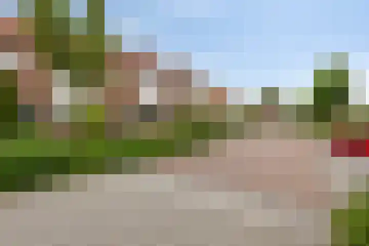 Sichemstraat 4 Wesepe thumbnail 25