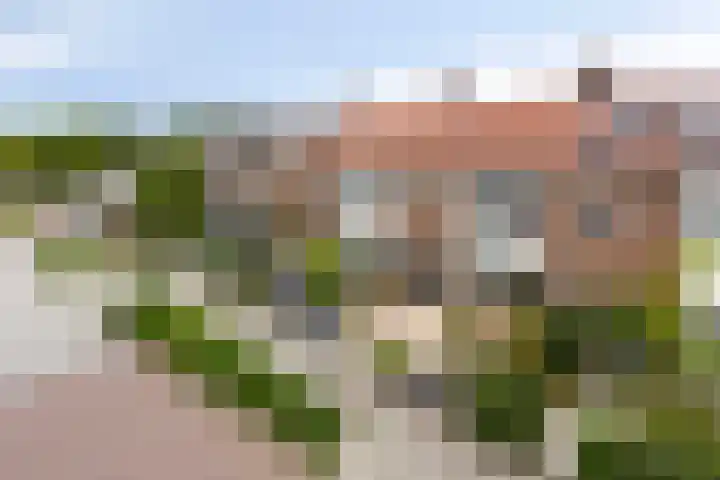 Sichemstraat 4 Wesepe thumbnail 26