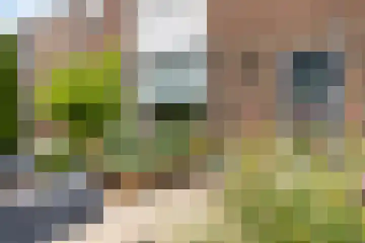 Sichemstraat 4 Wesepe thumbnail 27