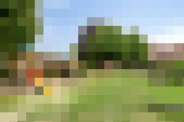 Sichemstraat 4 Wesepe thumbnail 28