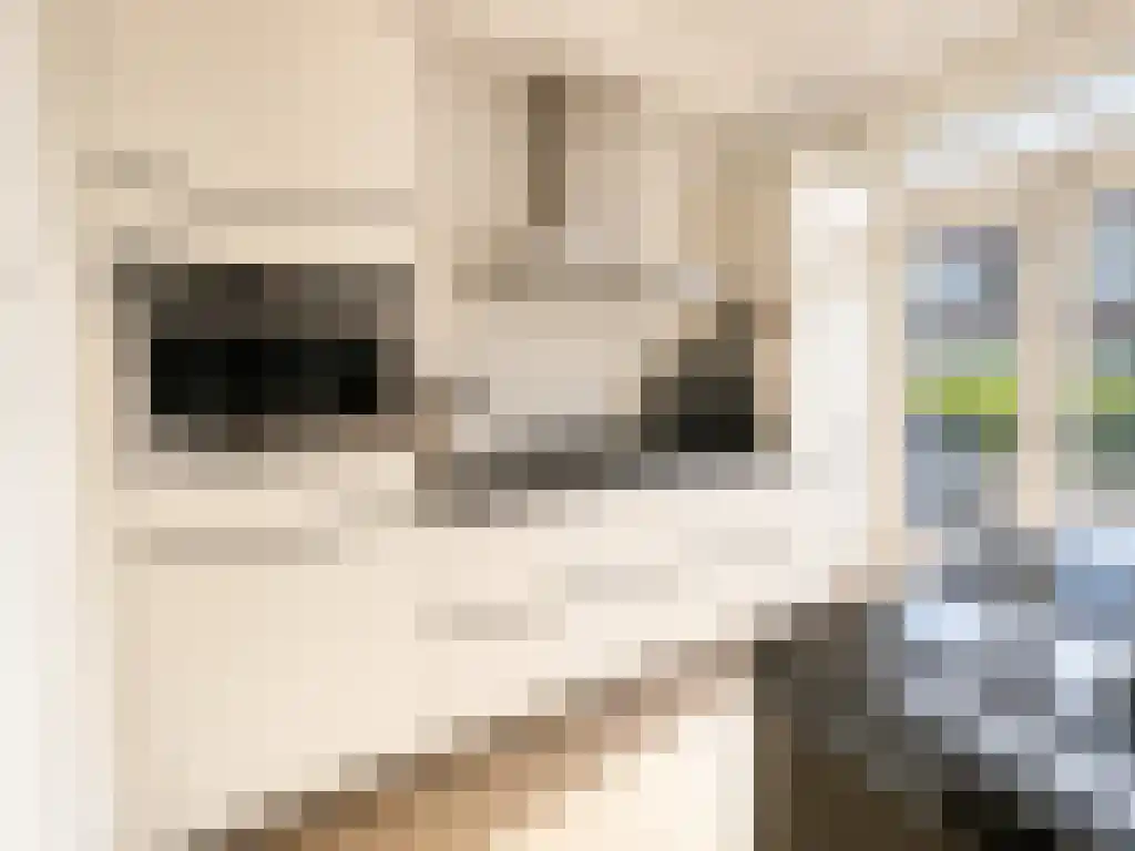 Sichemstraat 8 Rotterdam thumbnail 6