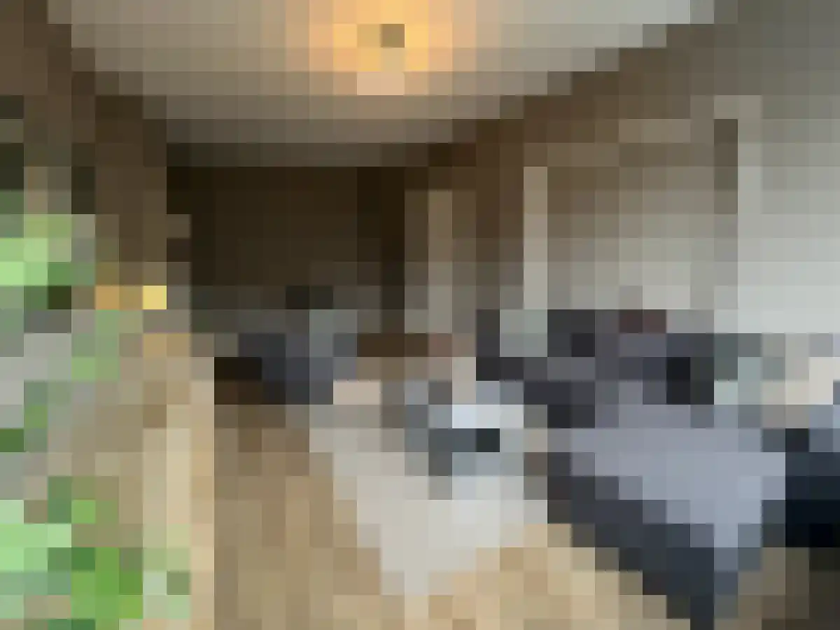 Sichemstraat 9 Rotterdam thumbnail 5