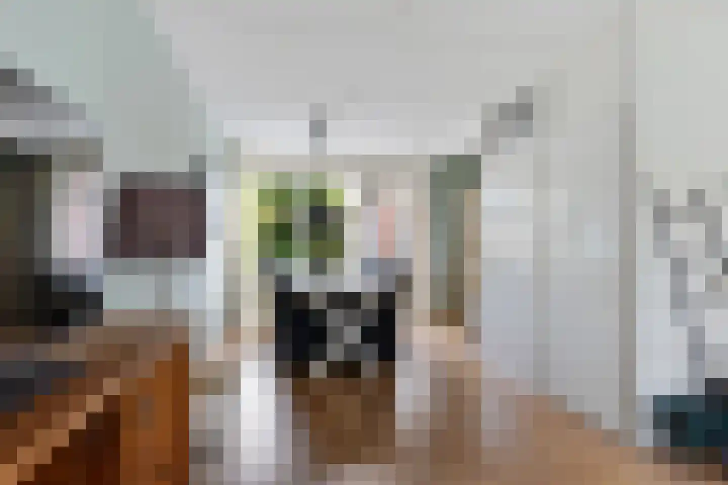 Sichte 3 Ureterp thumbnail 11
