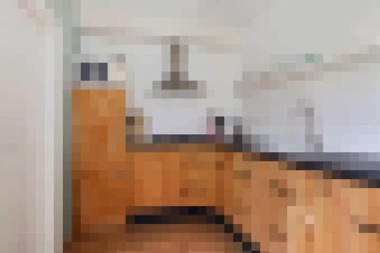 Sichte 3 Ureterp thumbnail 14