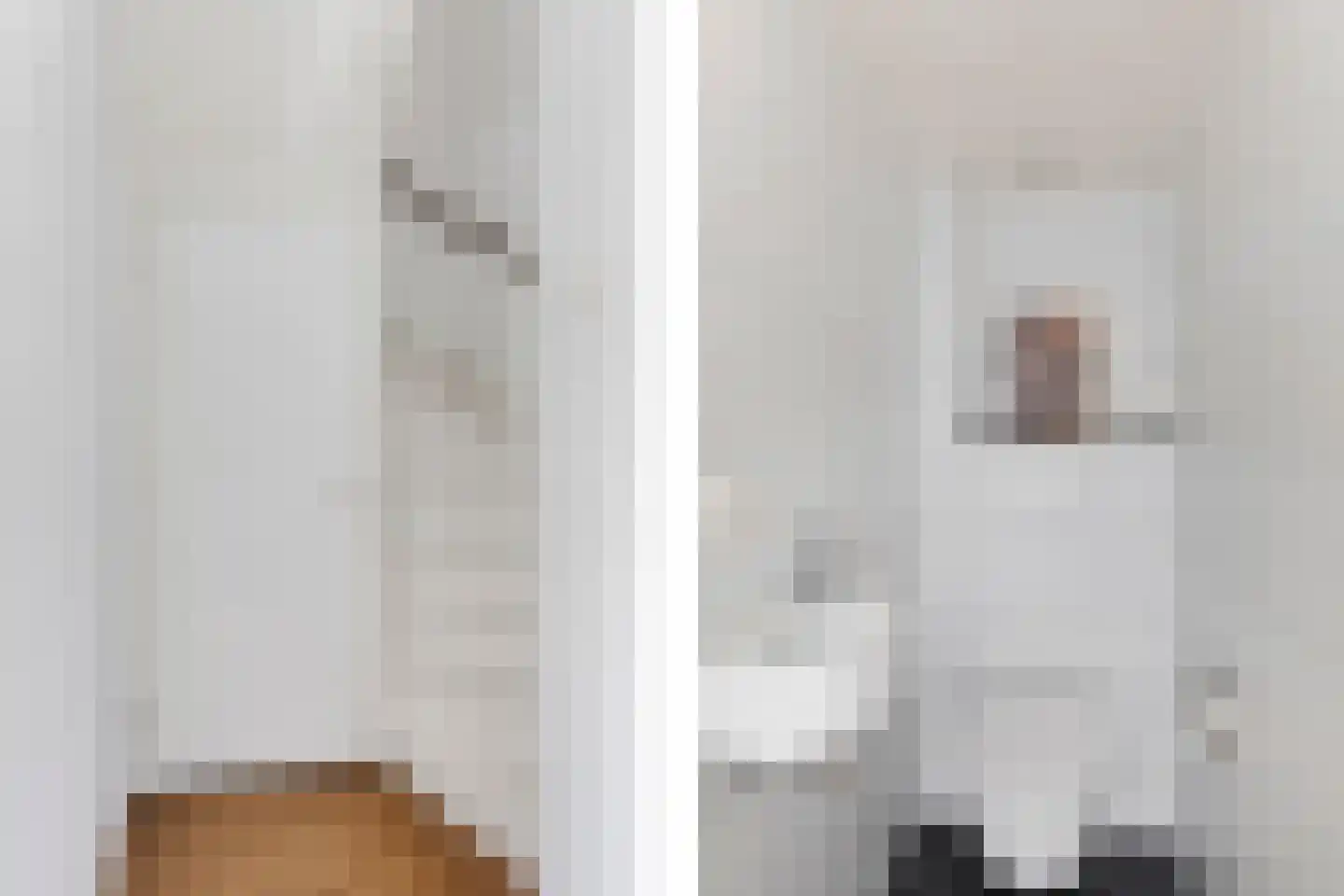 Sichte 3 Ureterp thumbnail 15