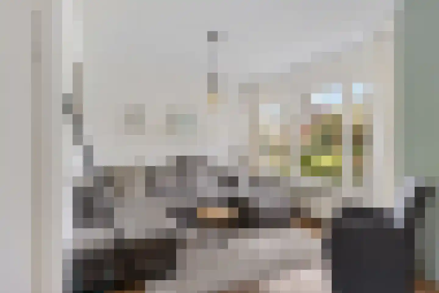 Sichte 3 Ureterp foto 2