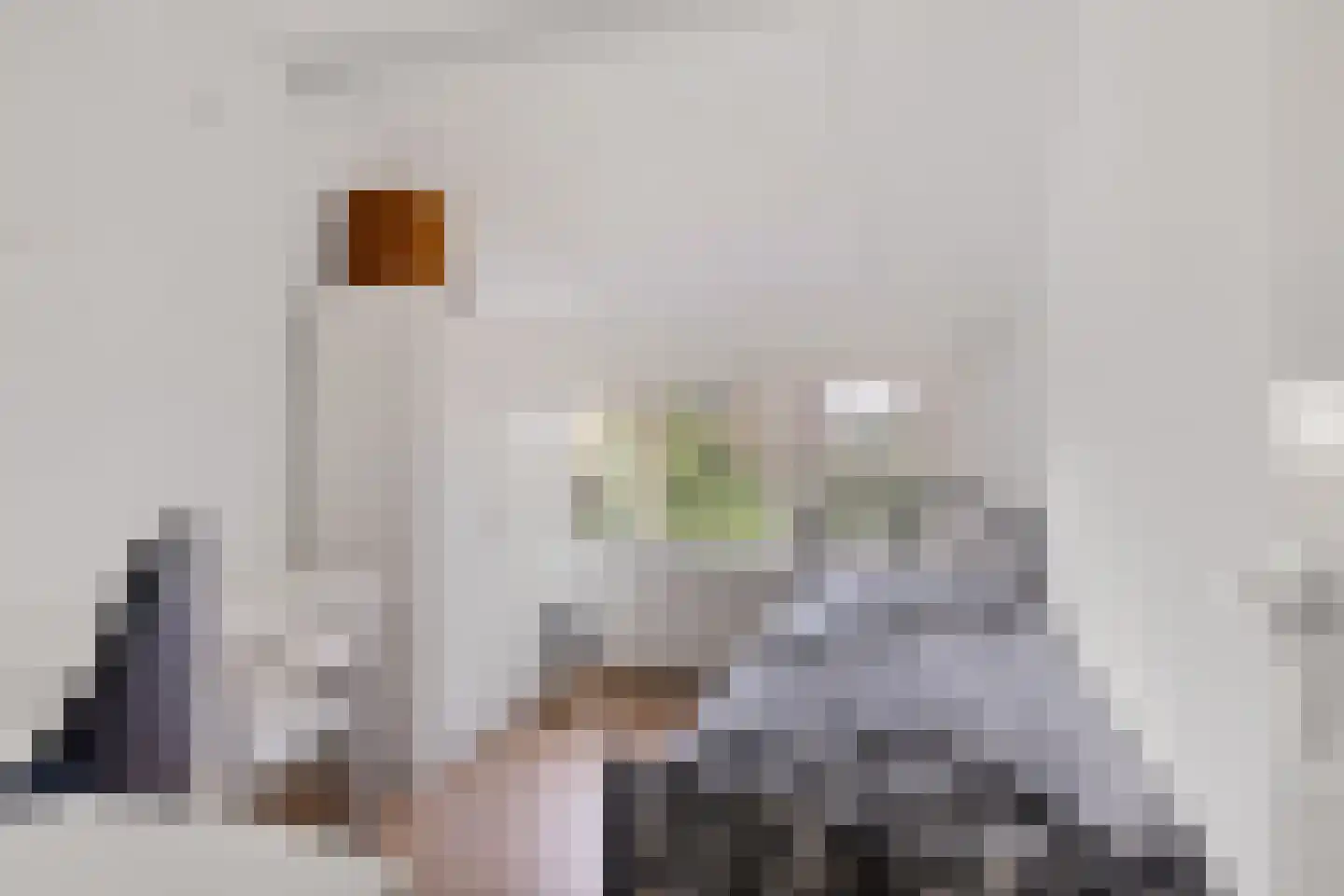 Sichte 3 Ureterp thumbnail 23