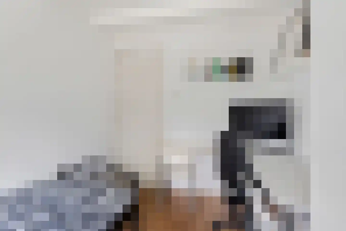 Sichte 3 Ureterp thumbnail 24