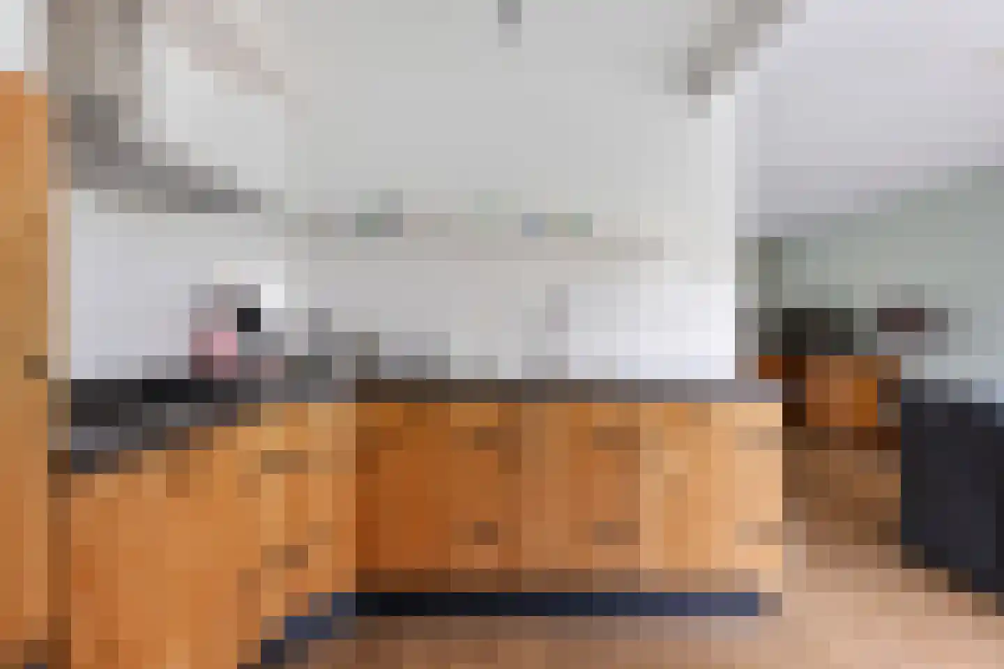 Sichte 3 Ureterp foto 3